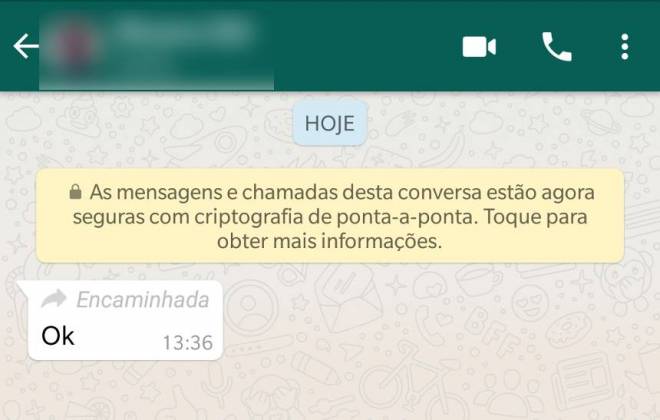 WhatsApp libera para todos função que dedura mensagens encaminhadas