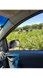 Motorista ignora placa de parada, bate contra motocicleta e o carro capota após o impacto em Montes Claros 